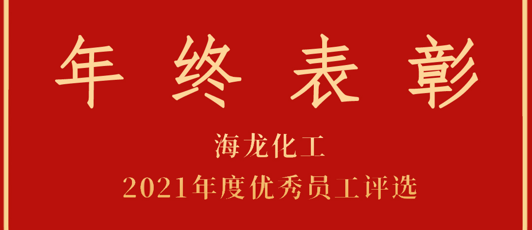 <strong>表彰！海龍化工2021年度優(yōu)秀員工優(yōu)秀部門評選</strong>