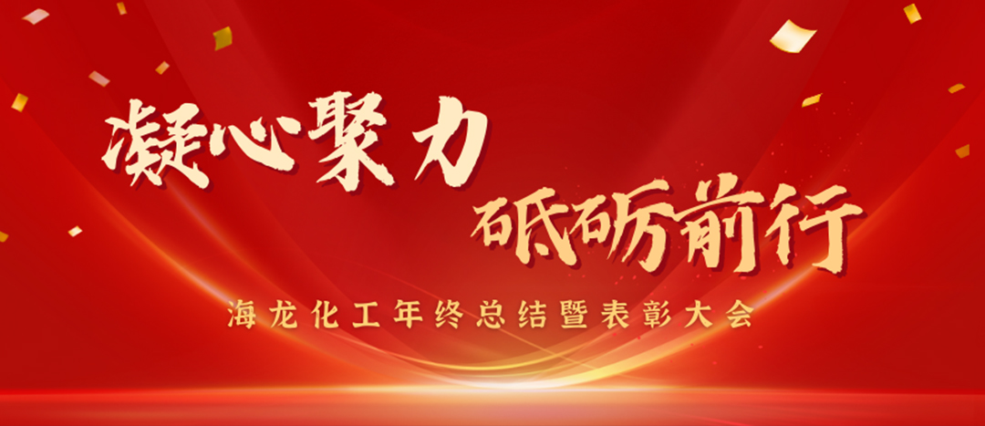 表彰 | 凝心聚力，砥礪前行，海龍化工年終總結(jié)暨表彰大會圓滿舉行